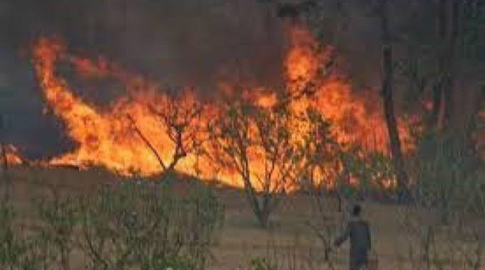 Fire damage to homesteads and grazing land following a fatal veld fire in Machacha, Ward 14.