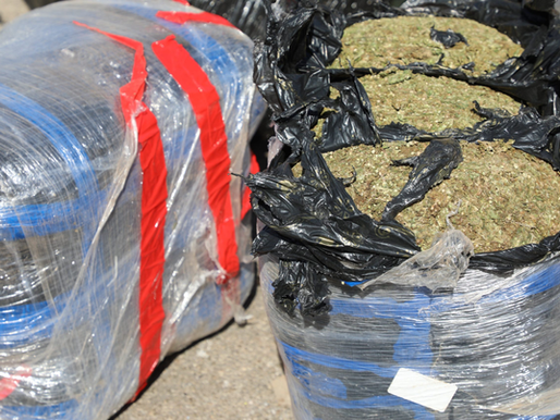 dagga seized