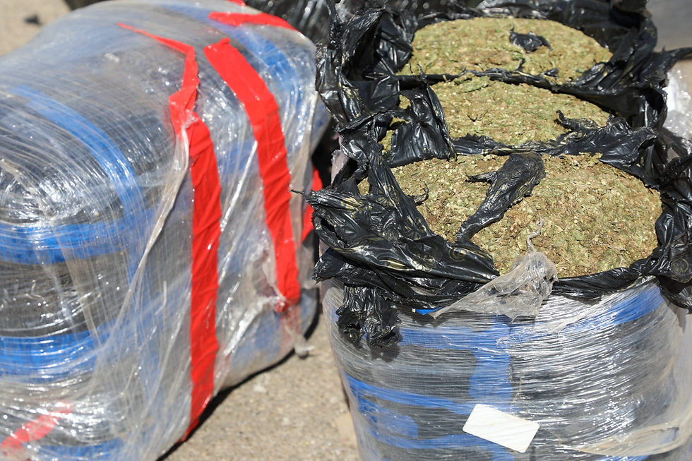 dagga seized