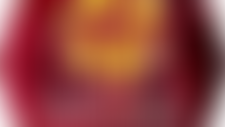 Anatomy of a Meltdown: How ZIMURA’s Own Words Exposed the Rot