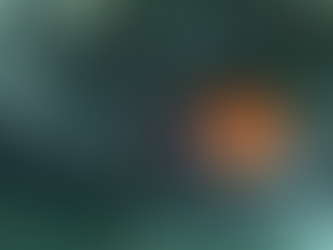 Spider weaving a web on a branch — Spider’s Web Doctrine business strategy