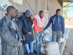 Recovered dagga valued at ZiG10.8 million