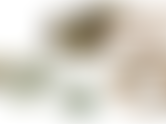 David's sling and stones