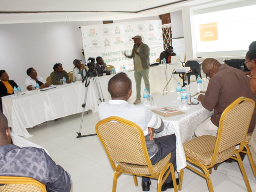 PANELZ PACE Dialogue: Unlocking Zimbabwe’s Creative Economy