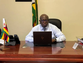 BAZ acting chief executive officer Matthias Chakanyuka expressed grave concern over the resurgence of unauthorized advertisements