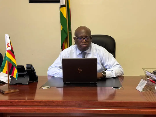 BAZ acting chief executive officer Matthias Chakanyuka expressed grave concern over the resurgence of unauthorized advertisements