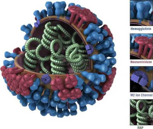 Influenza