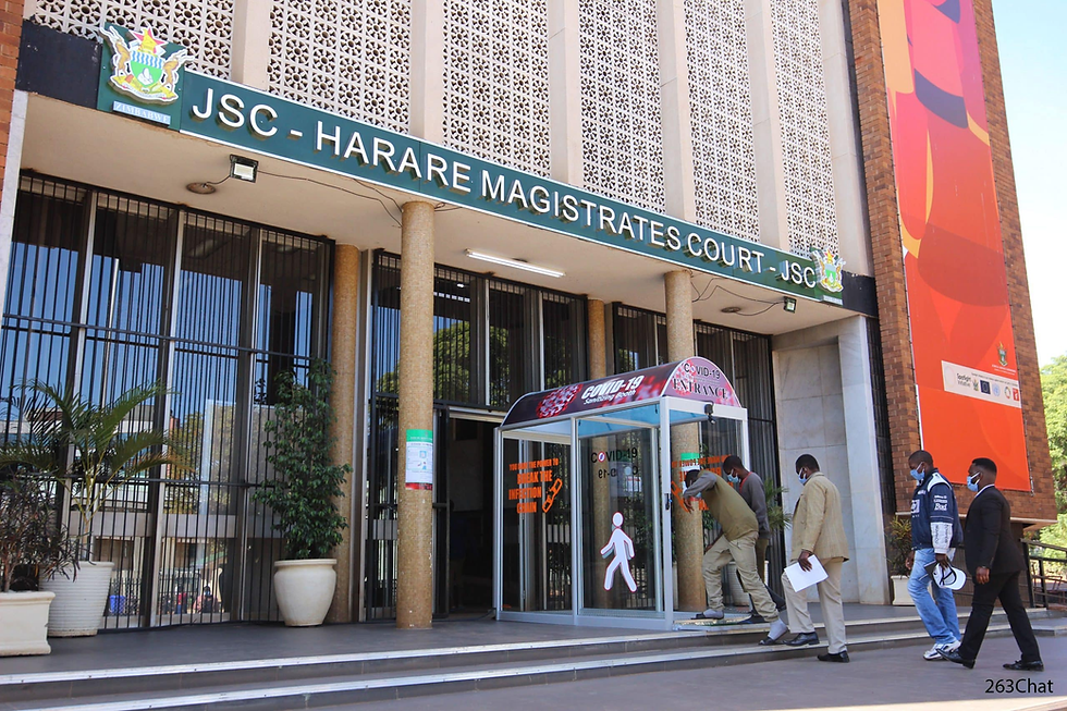 Harare Magistrates Court handling Waterfalls murder case