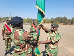 Military personnel in camouflage uniforms hold a green flag outdoors on a clear day, with trees in the background. Two men stand in focus.