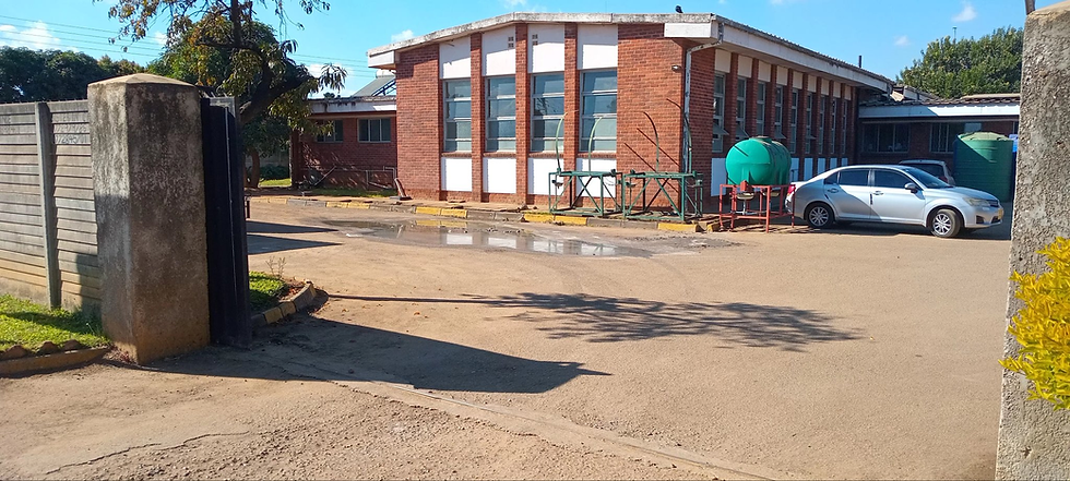 Raw sewage pooling at the entrance gates and walkways of Budiriro Polyclinic in Harare.