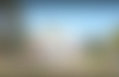 “Crime scene at Hallingbury Primary School Harare”