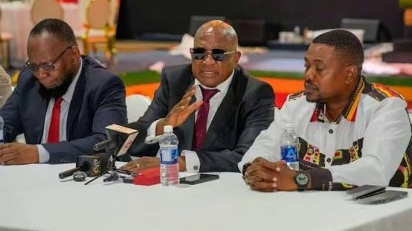 Zanu-PF President Emmerson Mnangagwa’s academic and professional memorabilia featured in an auction at the party’s inaugural President’s Ball.