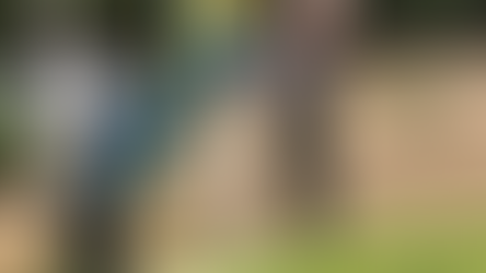 Sweden to Close Embassy and End Bilateral Aid to Zimbabwe