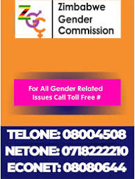     Domestic violence awareness graphic featuring toll-free contact details for reporting abuse.
