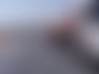 Long queue of commercial trucks at Forbes Border Post