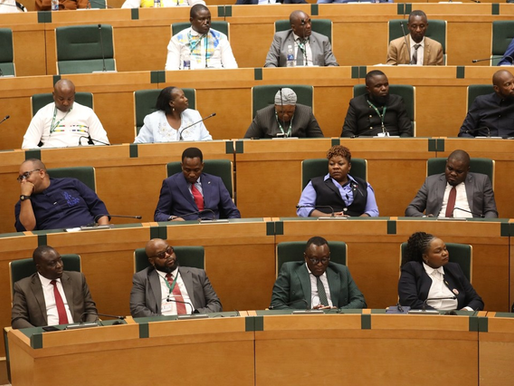 Zimbabwe National Assembly chamber during debate on Constitutional Amendment Bill No. 3.