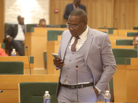 Kuwadzana MP Chalton Hwende during a parliamentary session