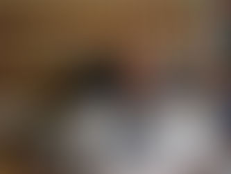 Bindura Lawyer Elatone Bonongwe