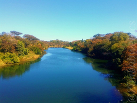 Sacred cultural heritage site along the Mupfure River.