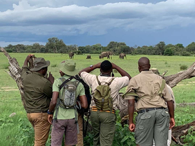 Zimparks rangers and cadet rangers monitoring wildlife movement