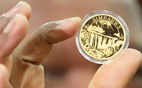 Hand holding a gold coin in a clear case, featuring a waterfall design and the word "Zimbabwe." Soft focus background.