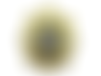 The Zimbabwe Republic Police (ZRP) logo