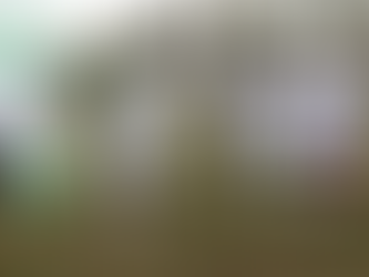 Zimra Attains ISO Certification, Breaks Ground for New Headquarters