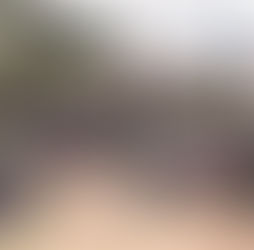 Exterior of a Zimbabwe correctional facility — entrance to a prison where releases are taking place