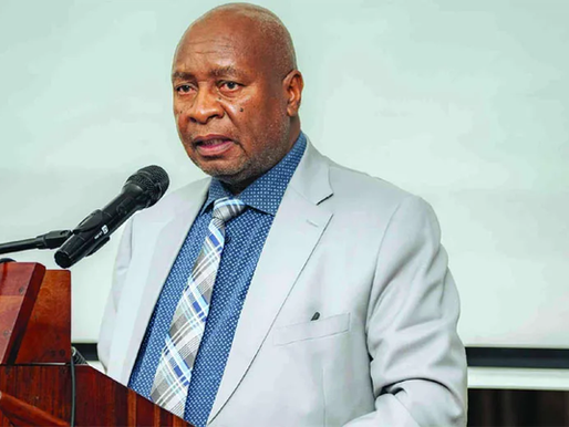 Public Service, Labour and Social Welfare Minister Edgar Moyo