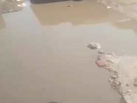 OPINION | Harare City Council’s Dereliction Threatens National Vision: Mbare Sewer Crisis Worsens