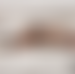 Resident discarding an infested mattress — mattress removed during bedbug outbreak in Mbare