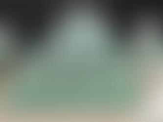 The Season of Shadows: Police, Seed Producers and the War Against Counterfeit Grain