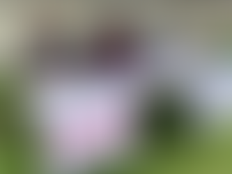 “They Sold Our Music for Commission”: Inside ZIMURA’s Breakaway Board Press Conference