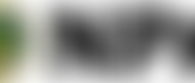 NPA logo Harare — National Prosecuting Authority