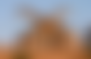 Infographic showing the Giraffe Theory of Business: height advantage and strategic foresight