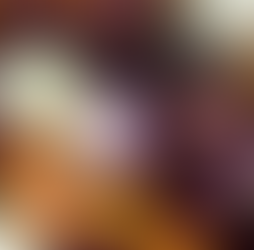 Onion roots and bulbs in soil — onion family and biodiversity