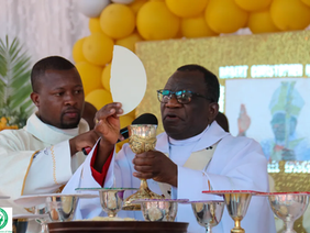 Archbishop Robert Ndlovu addressing the Catholic community in Harare.