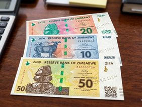 Zimbabwe ZiG banknotes new currency design