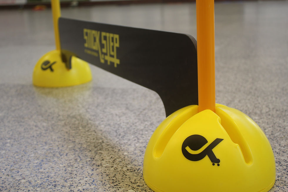 Miniatura: STICK STEP