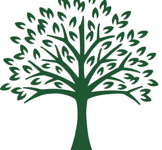 Tree side.png