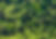 high-angle-shot-of-a-landscape-with-a-mixed-forest-2026-03-18-06-34-01-utc.jpg