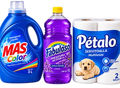 limpieza y hogar CHICO.png