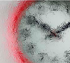 Mayflower Glass Design