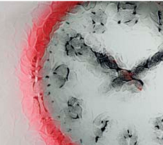 Florielle Glass Design