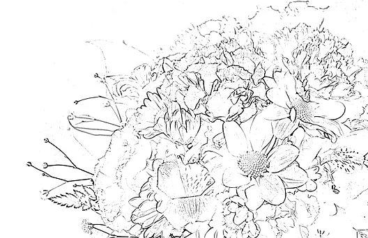 お花 植物 塗り絵を無料ダウンロード おとなの塗り絵倶楽部
