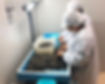 異物検査