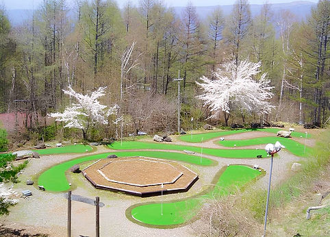 04_b0ca966abf24e44d3673dc82935ad77a (1)_edited.jpg