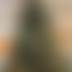 蓼科だより【2025年12月号 Vol. 232】