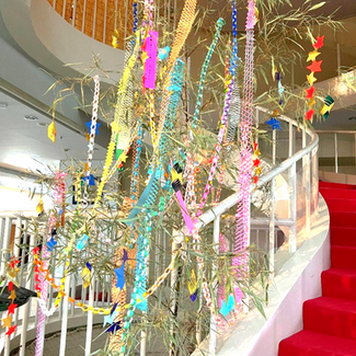 蓼科だより【2025年7月号 Vol. 227】