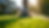 Eye-level view of a lawn mowing service in action
